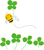 SHIFFON ONLINE STORE ͂܂